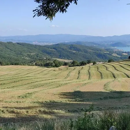 The Great Escape Caprile (Tuscany)